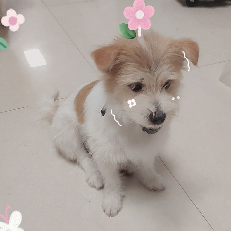 画船听雨眠的钢琴谱