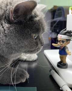 Jenya的个人空间