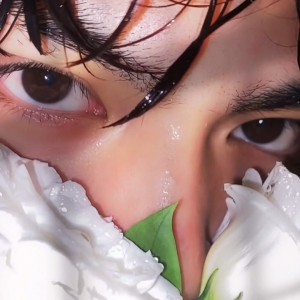 尤加利叶.的钢琴谱