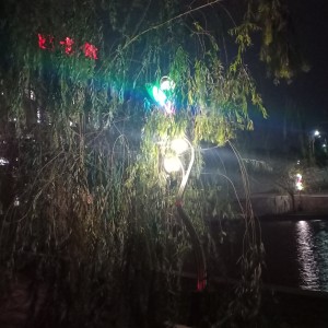 182****5784的钢琴谱