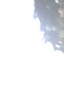 天地相交(づ￣ ³￣)づ的钢琴谱