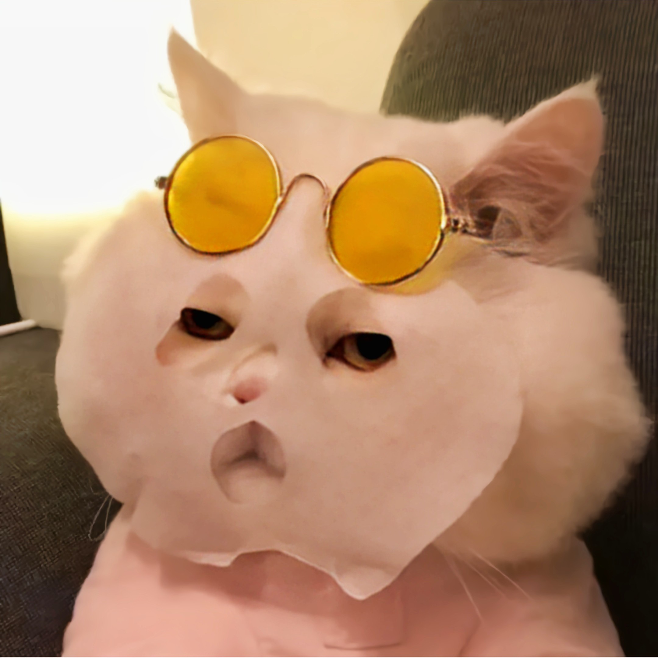归临的钢琴谱