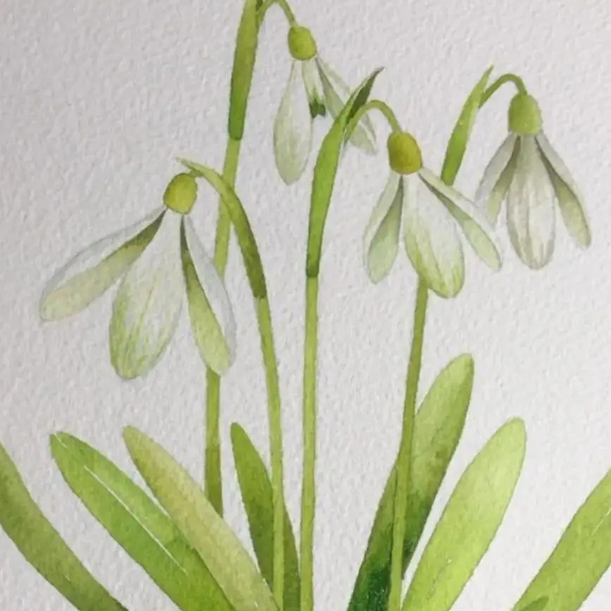 136****1680的钢琴谱