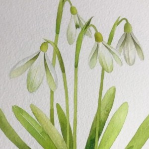 136****1680的钢琴谱