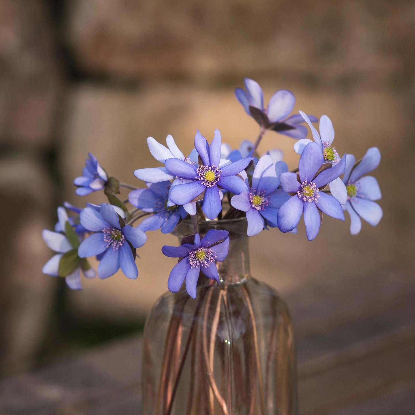 年年岁岁花相似的钢琴谱
