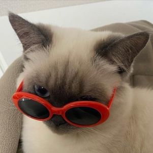 caimi的钢琴谱