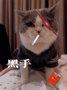 /的钢琴谱