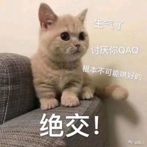 糯米团子的钢琴谱