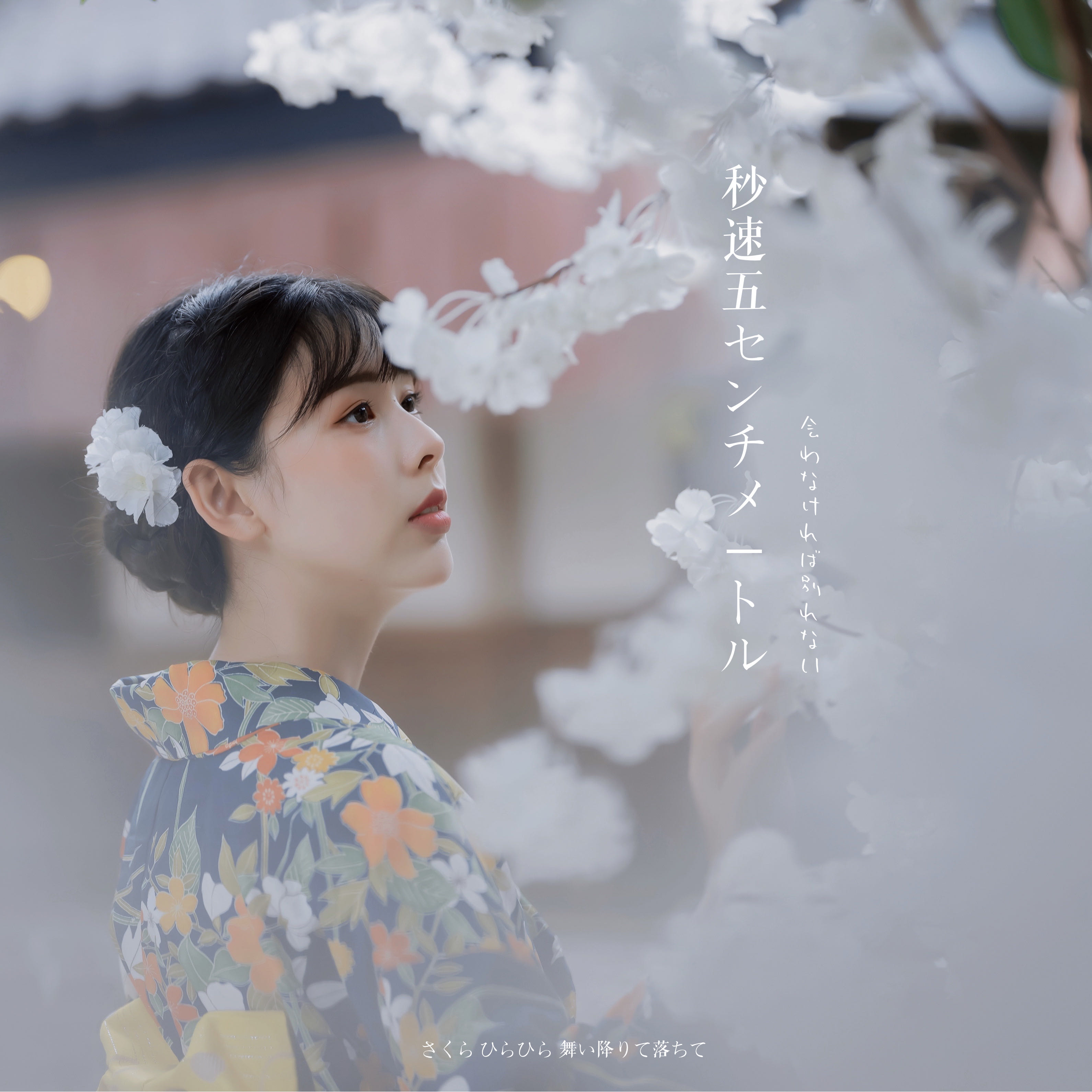 郭郭    的钢琴谱