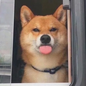 176****1640的钢琴谱