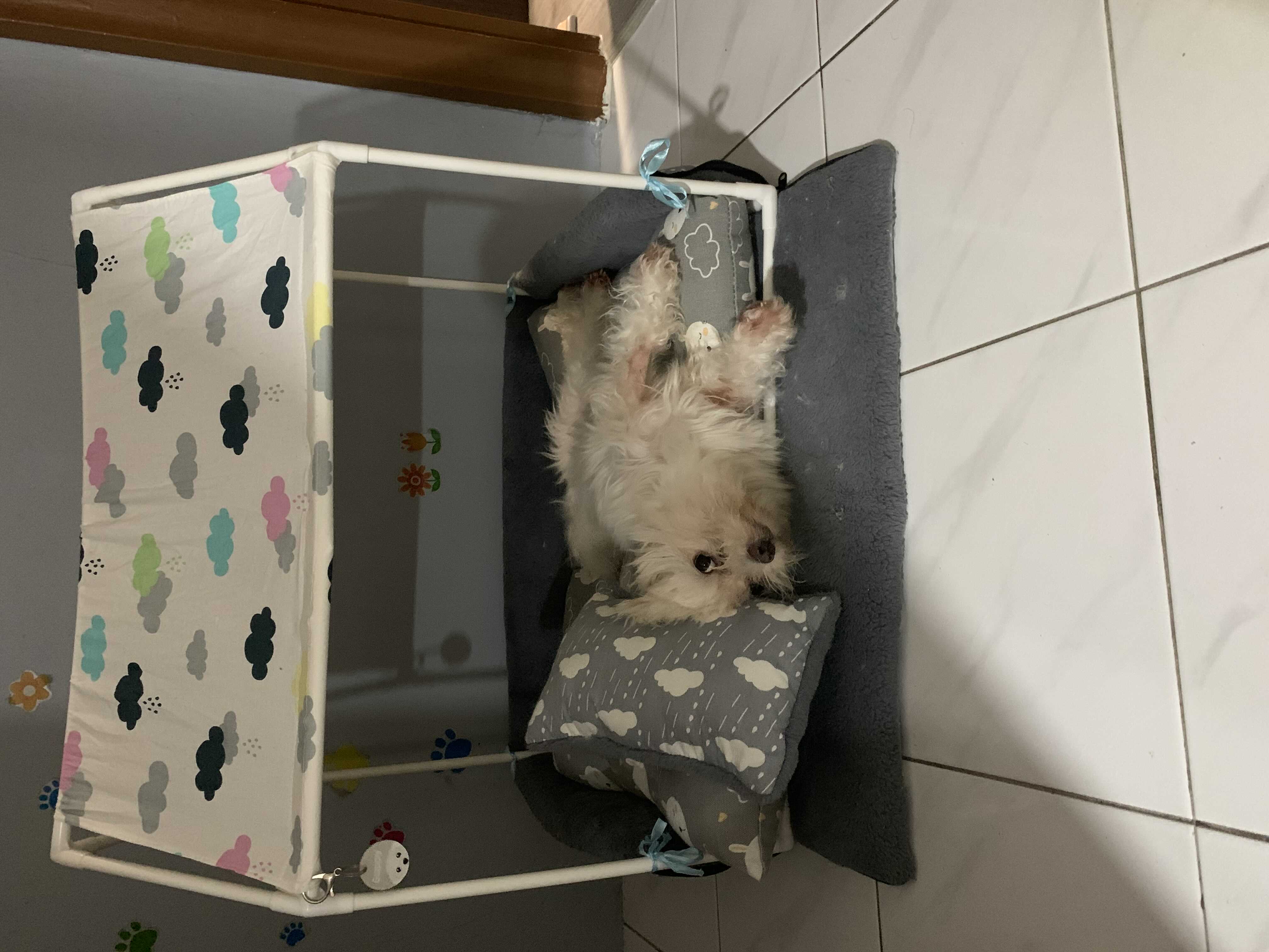 沁的钢琴谱