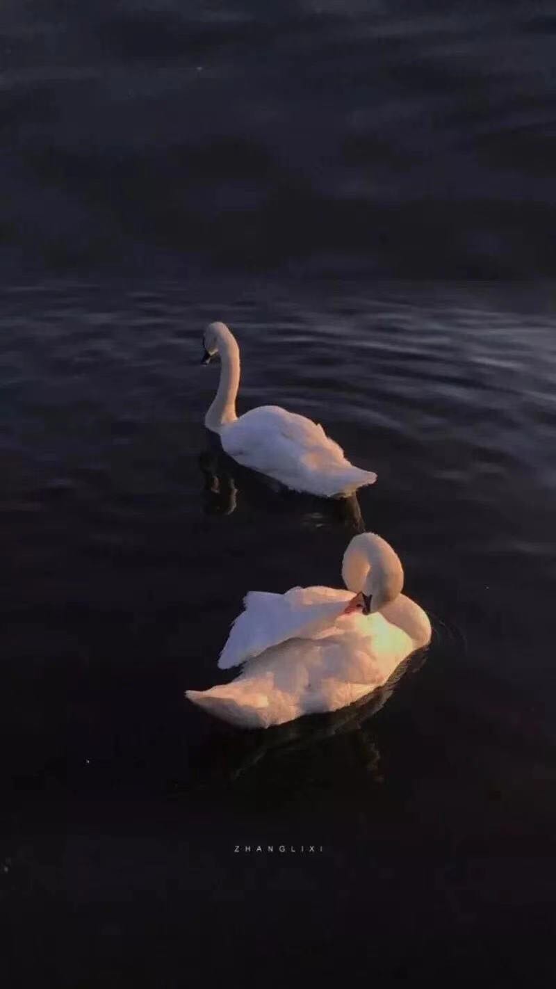 大写的BLINK.的钢琴谱