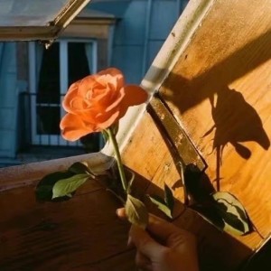 旧♛空城的钢琴谱