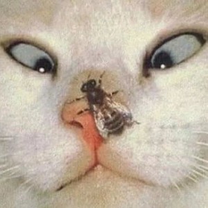 千寻喝可乐的钢琴谱