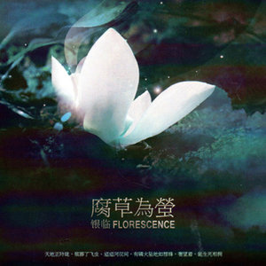 小银子