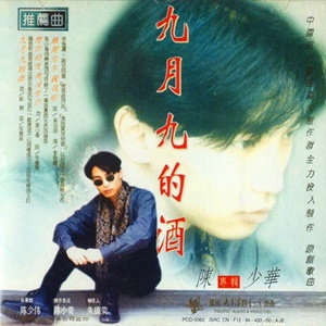 想你的夜晚没有你