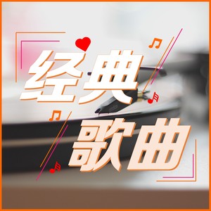 夏日里的最后一朵玫瑰