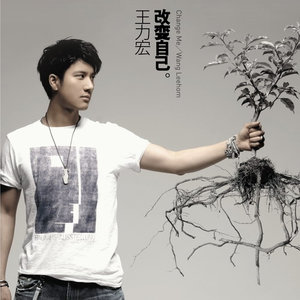 lee hom