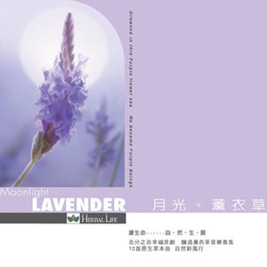 紫的触键
