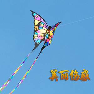 魂牵梦绕