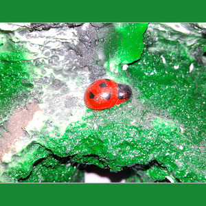 愿得北京东路的记忆