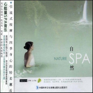 一个人的雨
