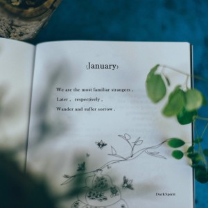 January钢琴谱