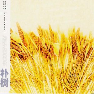 中文歌