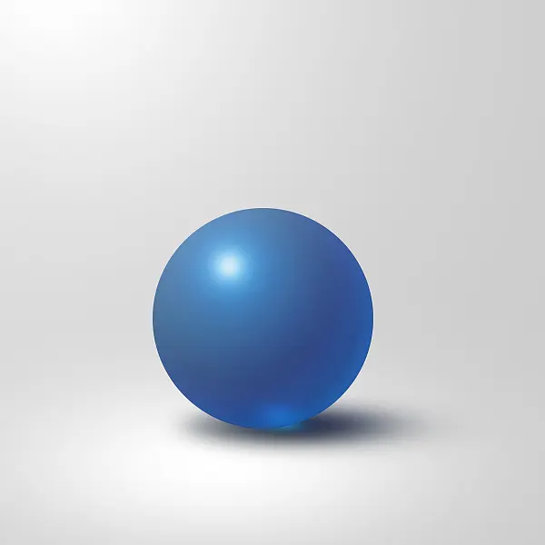 BLUE GOOSE