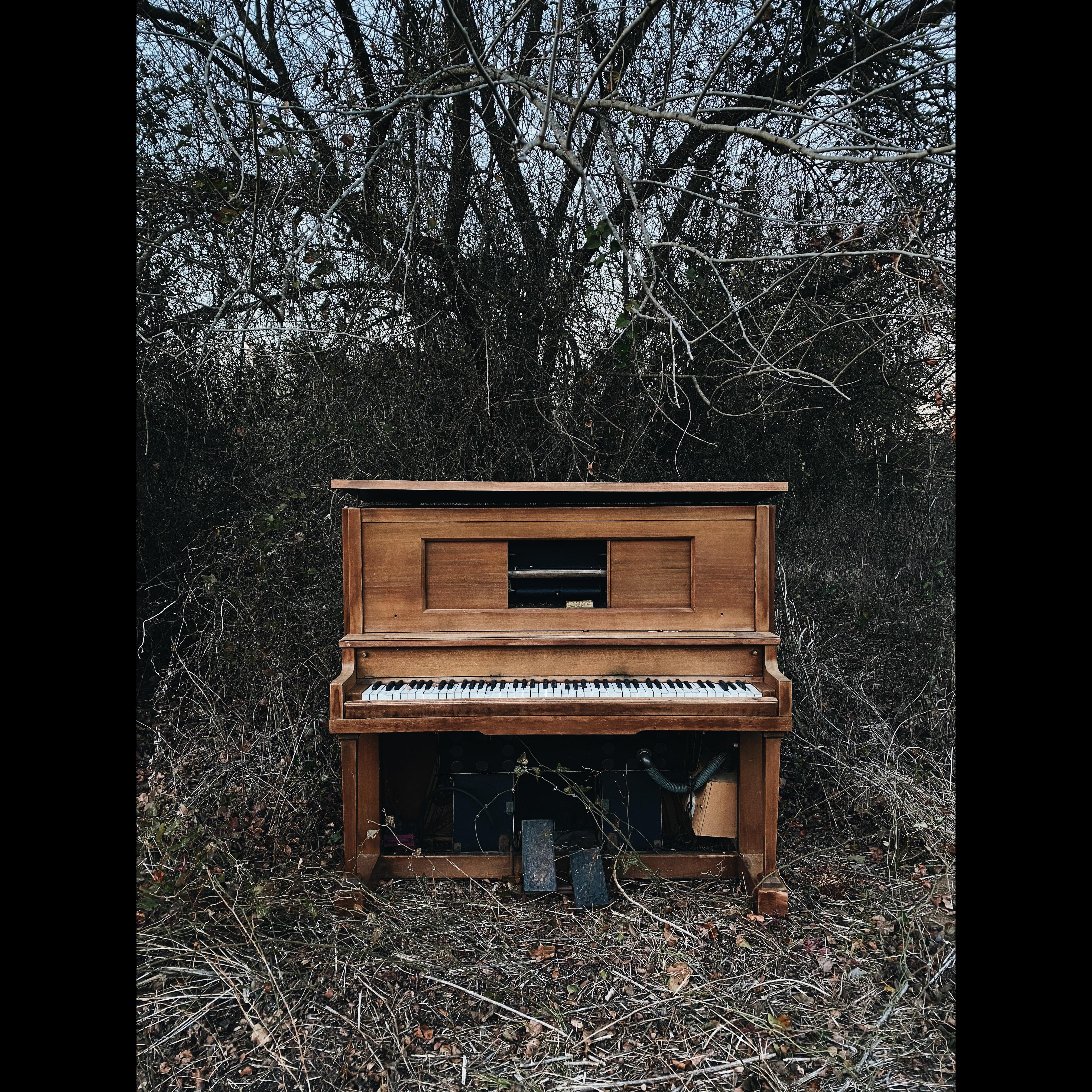 Prélude No. 24 BWV 893 in B Minor