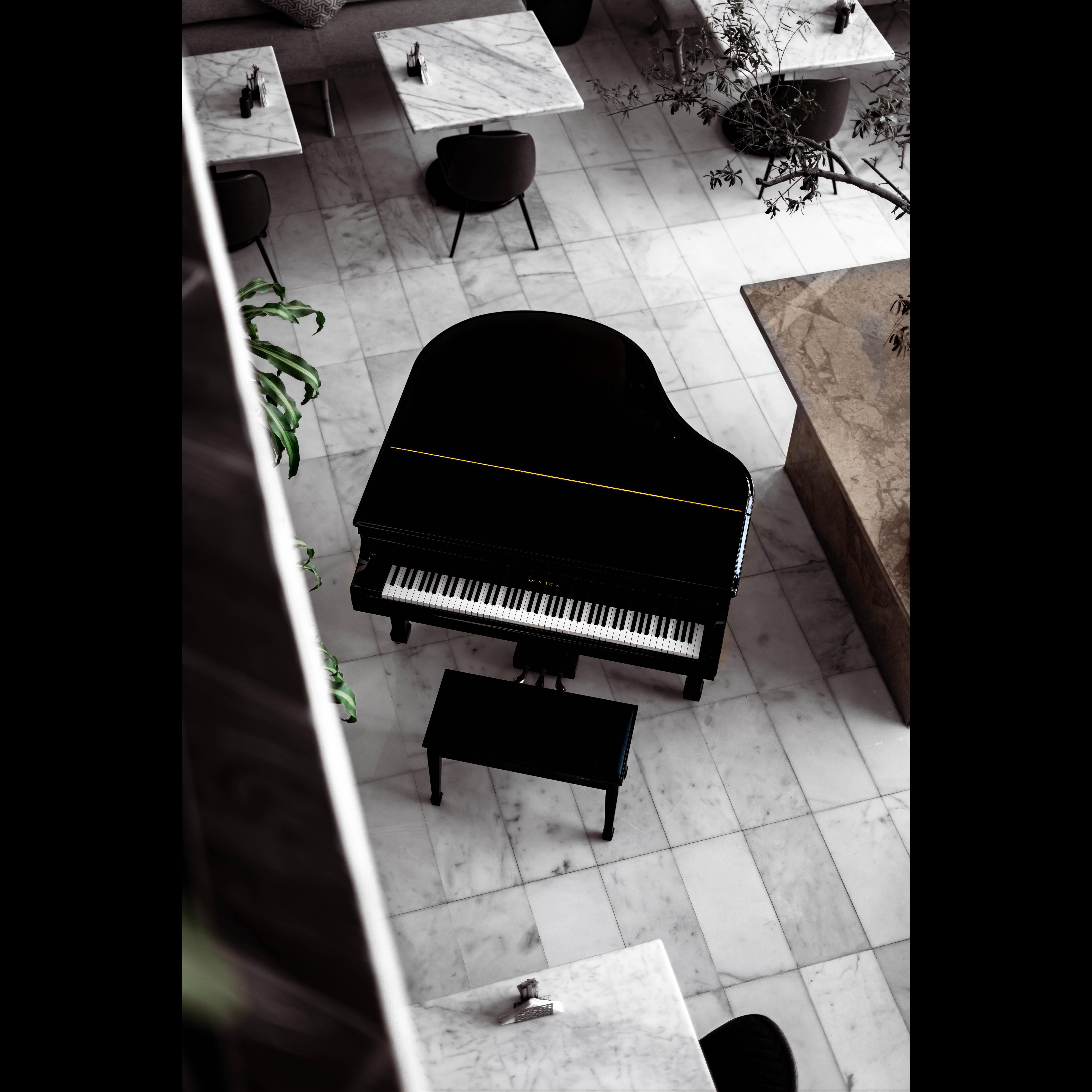 You Tell 'Em Ivories