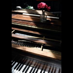 Liszt's Arrangement of Handel's Sarabande and Chaconne (Piano solo)钢琴谱
