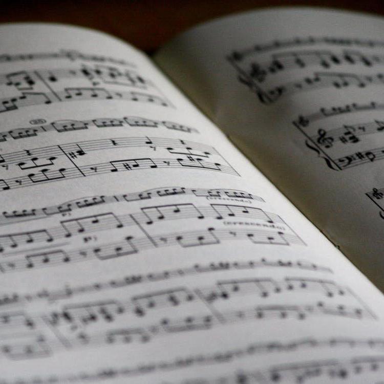 Sonata in D minor