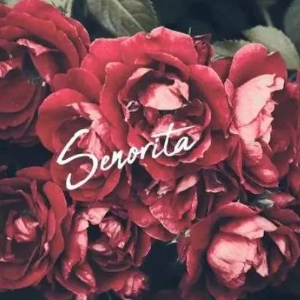 《Senorita》弹唱版钢琴谱