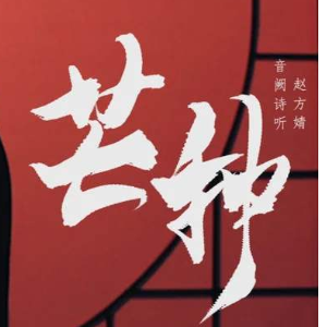 广告词人人车