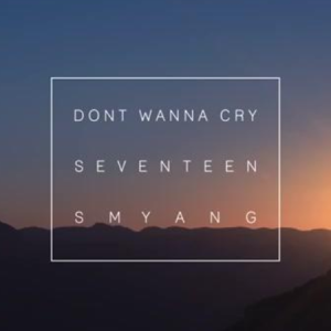 《不想哭》(Don't Wanna Cry)（Seventeen热门单曲）钢琴谱