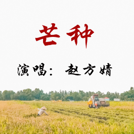 弹唱谱