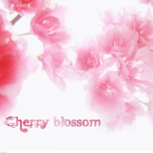 October - Cherry Blossom 【独奏谱】钢琴谱