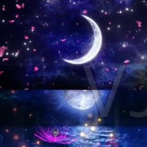 月亮代表我的心【C调】钢琴谱