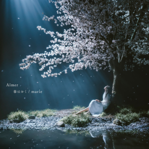 【Aimer x Fate】春はゆく（春逝）钢琴谱