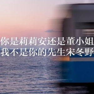 我不是你的宋冬野
