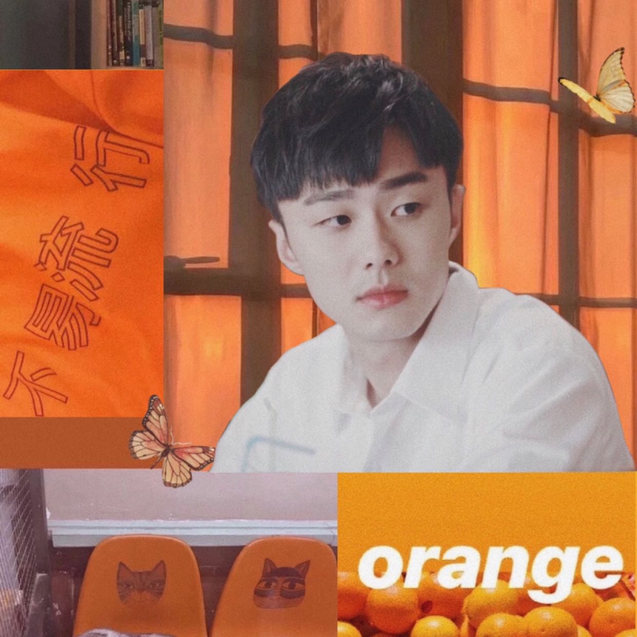 宝藏