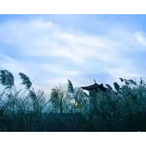 毕业考核