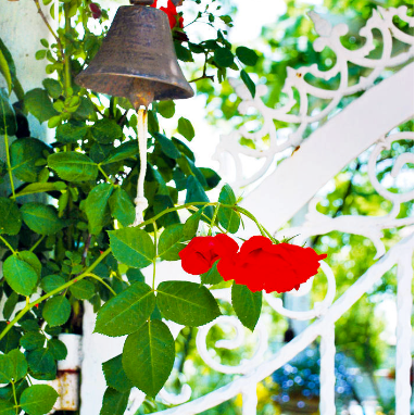 Neighbor's Garden