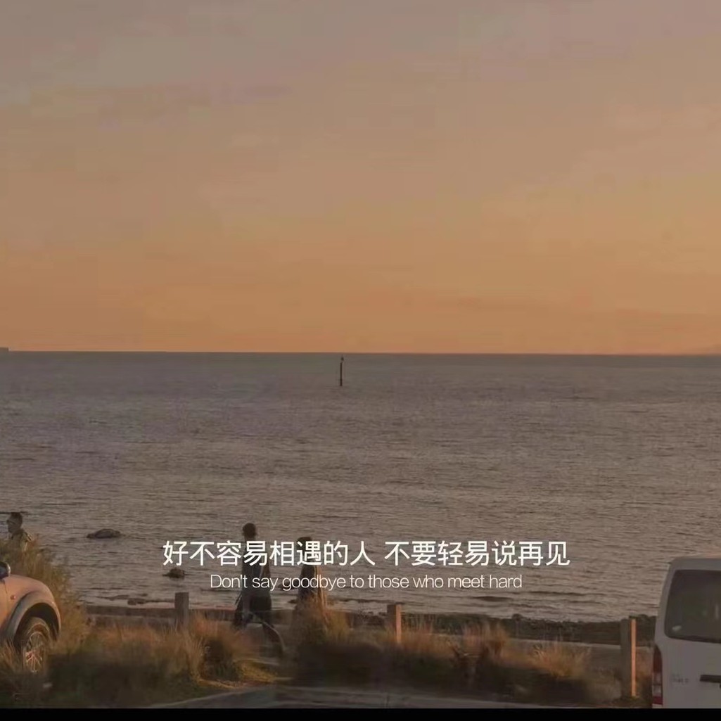 有词