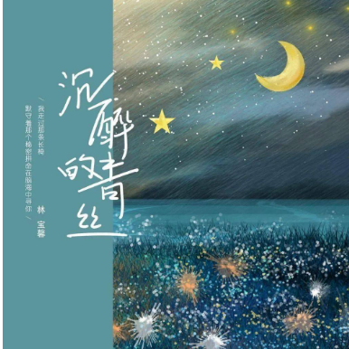 林宝馨沉醉的青丝c调简单版