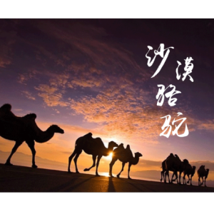 《沙漠骆驼》完美可弹谱，钢琴弹出架子鼓的感觉钢琴谱