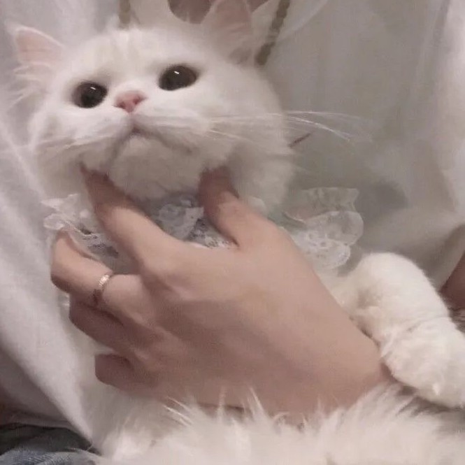 睡前必听