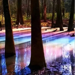 √48色の虹が映った水たまり钢琴谱