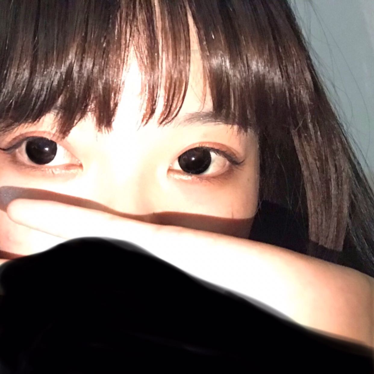 私藏